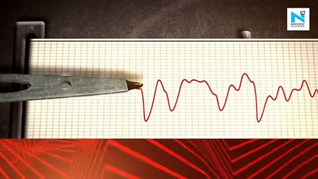 7.2 magnitude earthquake off Northeast Japan, Tsunami advisory issued