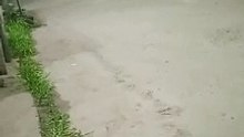 tamang abang lang sa daan