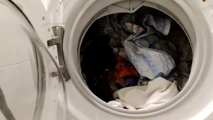 I almost washed  mandarin duck in the washing machine / niemal uprałem kaczkę mandarynkę w pralce .