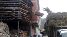 60 hanenin yandığı köye yardım yapmak isteyenler için köy muhtarı Duman uyardı