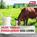 Muzik tingkat pengeluaran susu lembu
