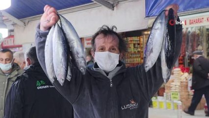 Hamsi yerini mezgite bıraktı