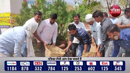 पटवारियों का धरना 34वें दिन भी जारी, सफाई अभियान