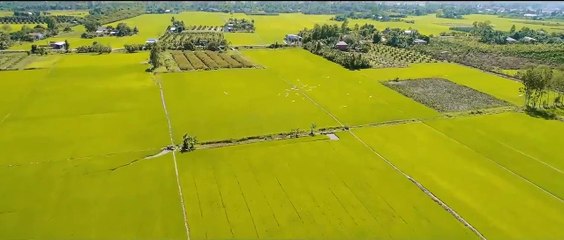 (Official Trailer) CHỒNG NGƯỜI TA | DỰ KIẾN KC NGÀY 20.11