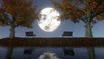 Relax to the sound of nature on a full moon night