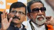 Sanjay Raut: Bal Thackeray was not anti-Muslim