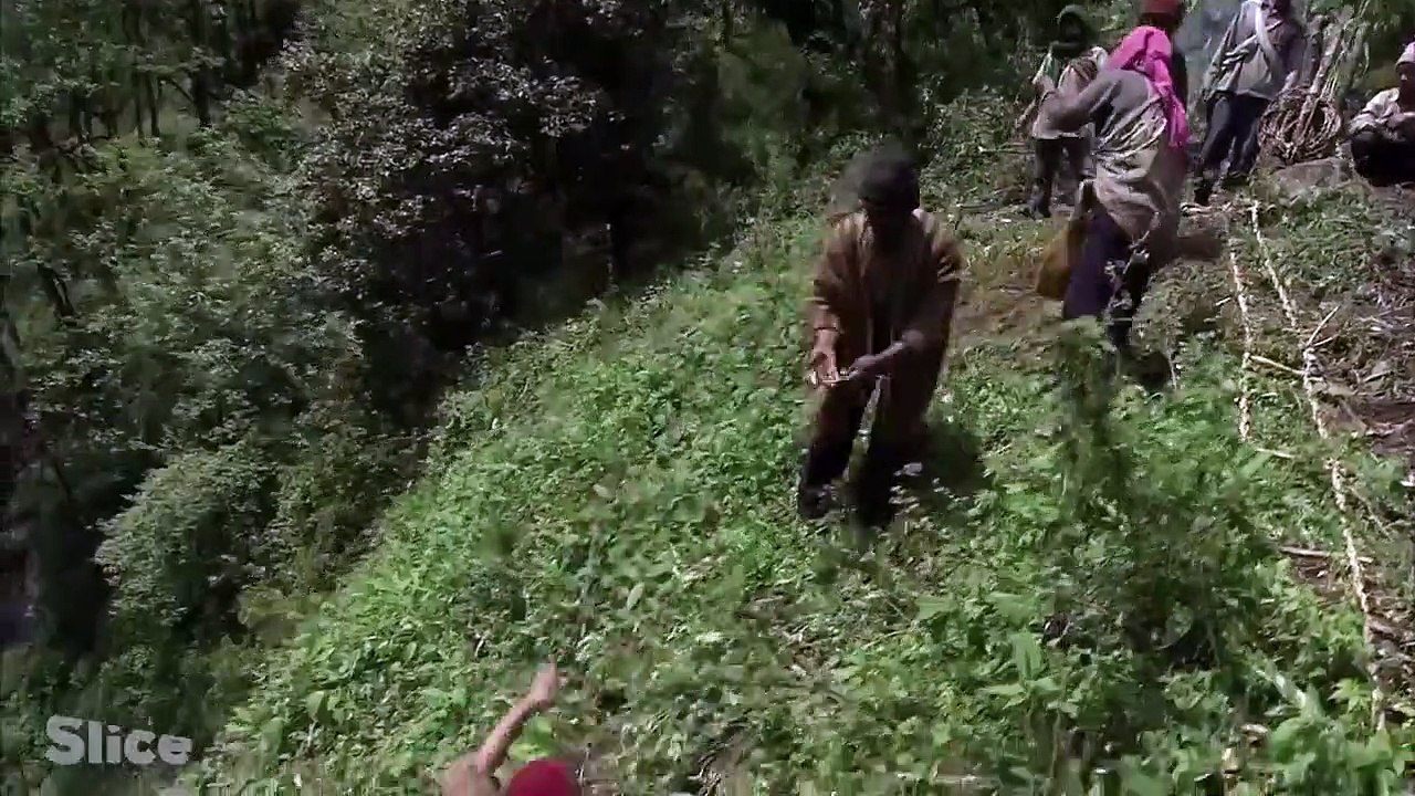 Facing The Giant Bees