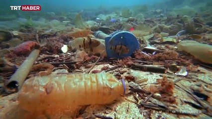 Denizler tehlike altında: 11 ton maske ve eldiven çıkarıldı