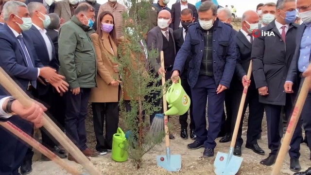 TOBB'dan Belen'deki yangınlarda zarar gören alanlara 31 bin fidan
