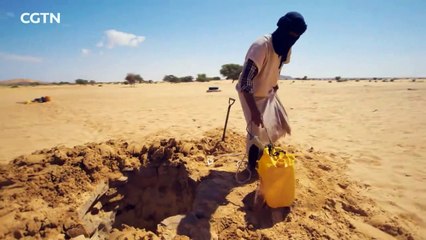 Faces of Africa - The Sahara