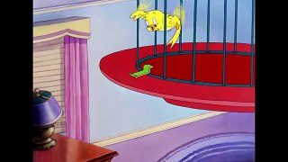 Tom & Jerry -  B-b-b-birds! - Classic Cartoon Compilation - WB Kids