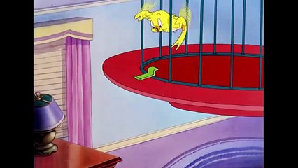 Tom & Jerry -  B-b-b-birds! - Classic Cartoon Compilation - WB Kids