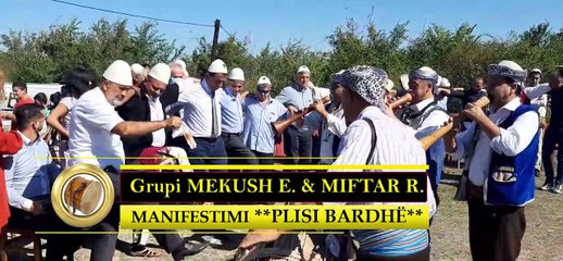 Ustah Mekush E. & Miftar E. - Manifestimi i Plisit