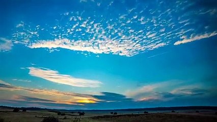 Sleep Music | Stress Free | Music