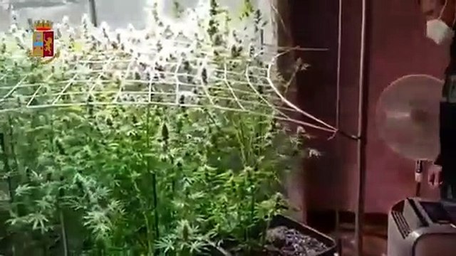 Selargius (CA) - Serra di marijuana in casa arrestato 42enne (20.03.21)