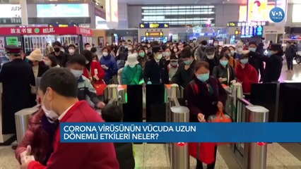 Corona Virüsü İnsan Bedenini Nasıl Etkiliyor?