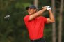 Investigators claim Tiger Woods didn't hit the brakes during his car crash