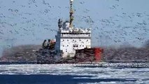 brise-glace dans le canal de Beauharnois