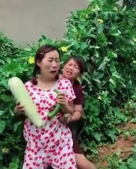 Cut girl funny video's clips