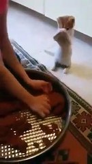 Yardım etmek istiyor ama...