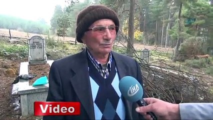 Aç kalan ayı mezardan çıkardığı cesedi yedi