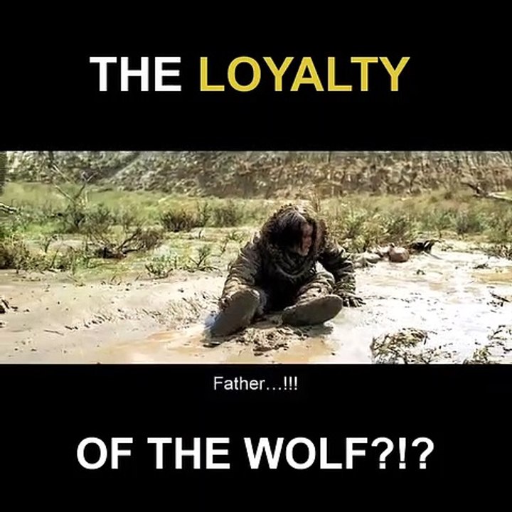 The loyalty of the wolf