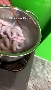 Cô gái đang luộc lòng thì sán vừa dài vừa béo núc ních chui ra