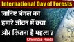 International Day of Forests: क्यों मनाते हैं विश्व वानिकी दिवस | Forest Day 2021 | वनइंडिया हिंदी