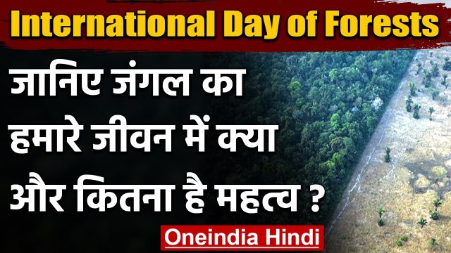 International Day of Forests: क्यों मनाते हैं विश्व वानिकी दिवस | Forest Day 2021 | वनइंडिया हिंदी