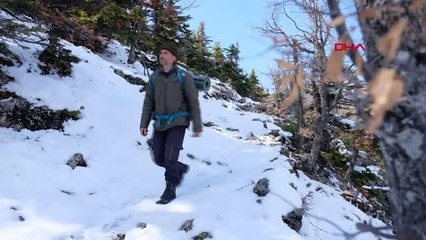 Son dakika haber... KONYA Babası 6 yaşında Toroslar'a bıraktı, 'doğa kahramanı' oldu
