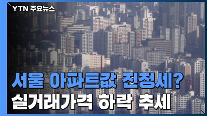 서울 아파트값 진정세 접어드나...일부 단지 실거래가격 하락 / YTN