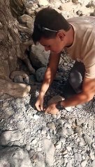 Bear Grylls Camp - Find the perfect experience for your team!