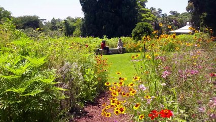 Gardening Australia episode 6 2021