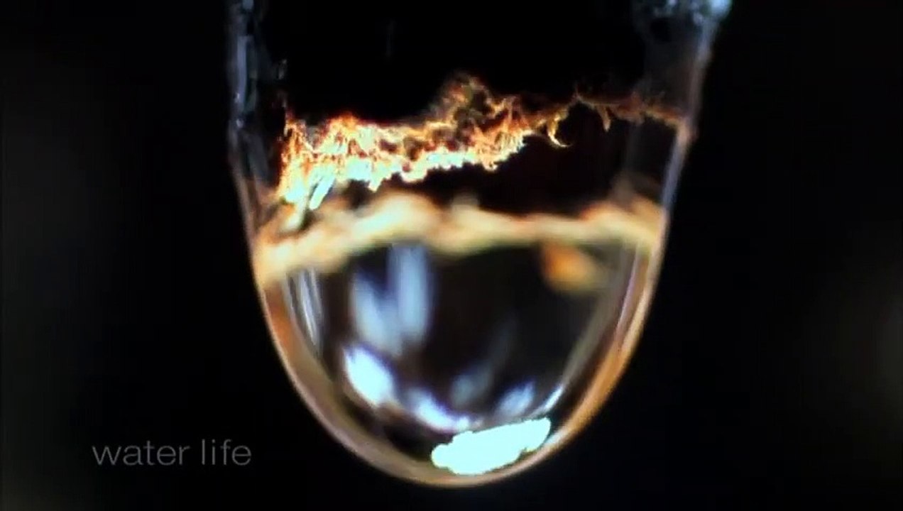 Water Life Wasser Die Wiege des Lebens Film