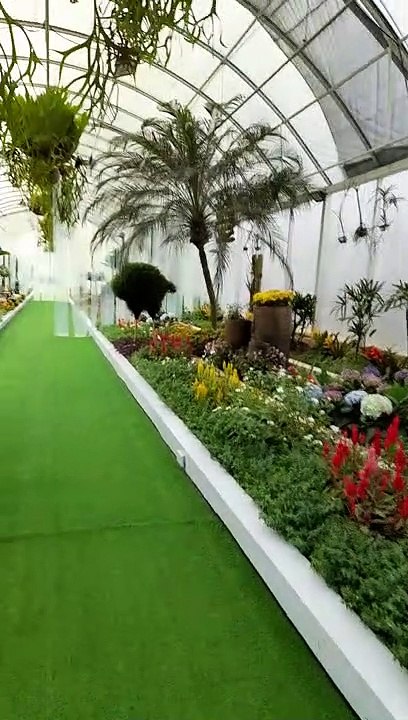 what wonderful garden