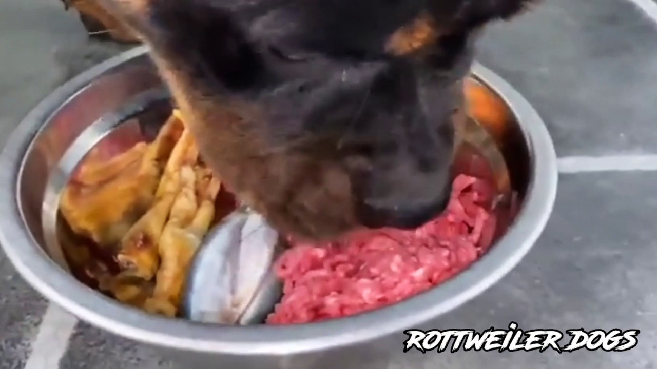 EATING TIME