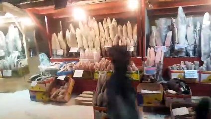 -67 derecede balık pazarı bakın nasıl oluyor