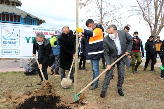 Mesire alanında kesilen ağaçların yerine yenileri dikildi