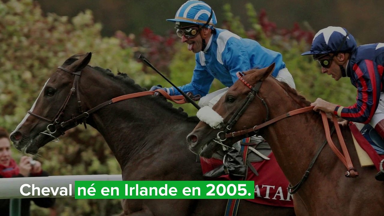 Top 3 courses de galop