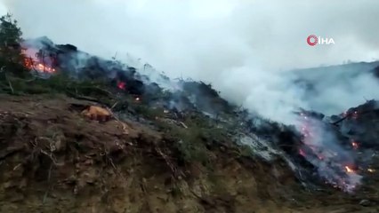 - Bucak’ta ormanlık alanda yangın kısa sürede söndürüldü