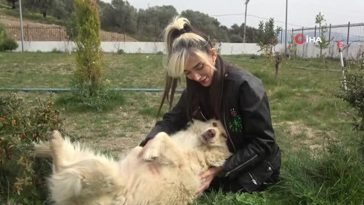 Sessiz canlara adanmış bir hayat