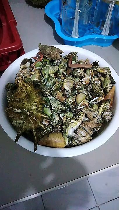 Seafoods