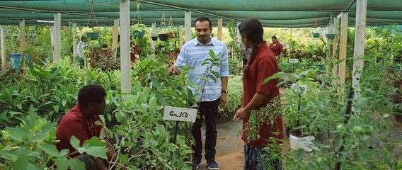 Vikruthi 2019 Malayalam DVDRip Movie Part 1