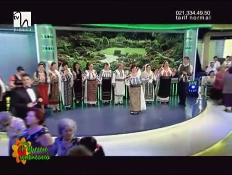 Viorica Podgoreanu - Cantati lautari mai tare (Petrecere romaneasca - Tvh - 12.07.2014)