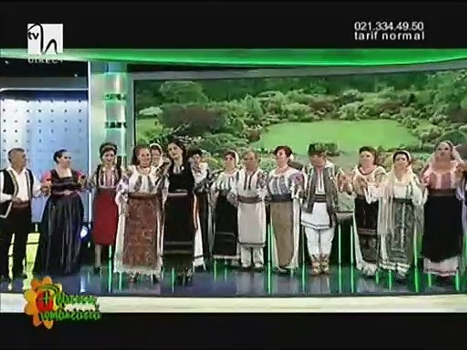 Alina Sarbu - Mama mea cu suflet bland (Petrecere romaneasca - Tvh - 12.07.2014)