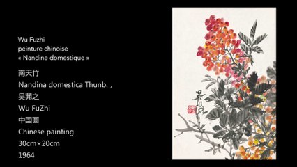 Wu Fuzhi, peinture chinoise, « Nandine domestique »/吴茀之中国画《南天竹》/Nandina Domestica Thunb., Chinese painting by WU Fuzhi