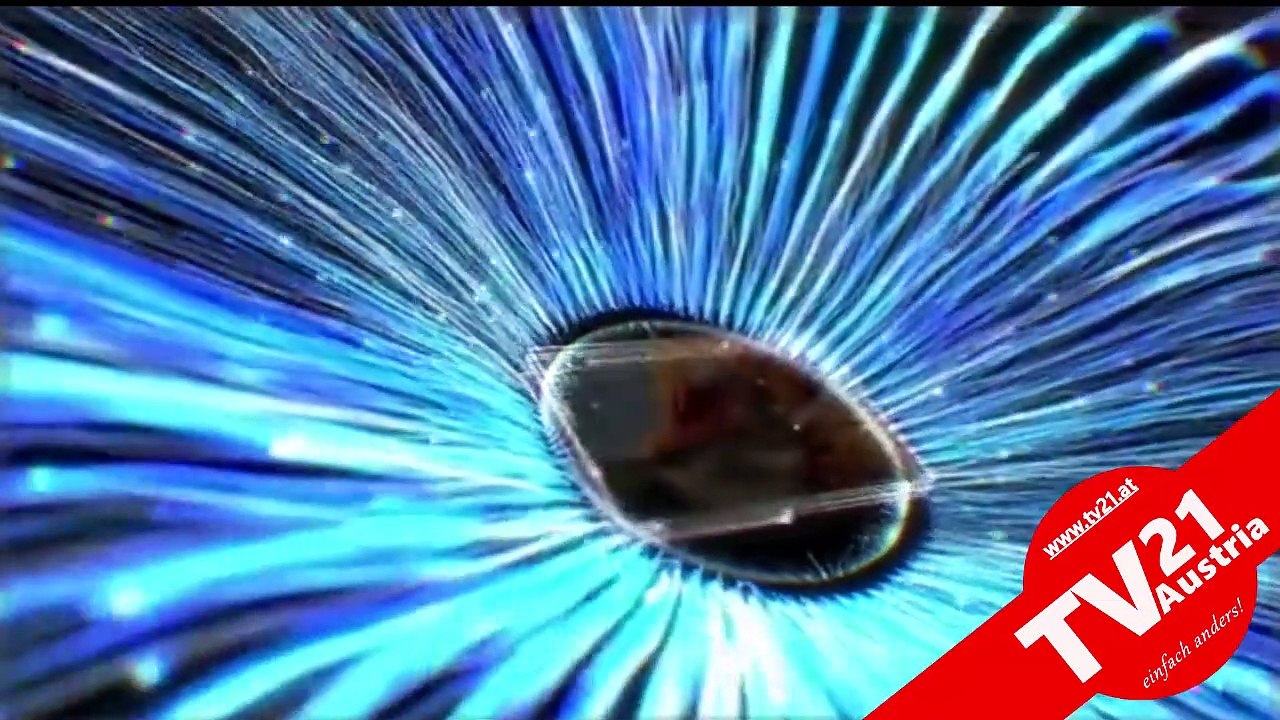 Energetisches Coaching Folge 11