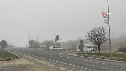 Son dakika haberi... Bilecik'te leyleklerin sis altında göçü görsel şölen sundu