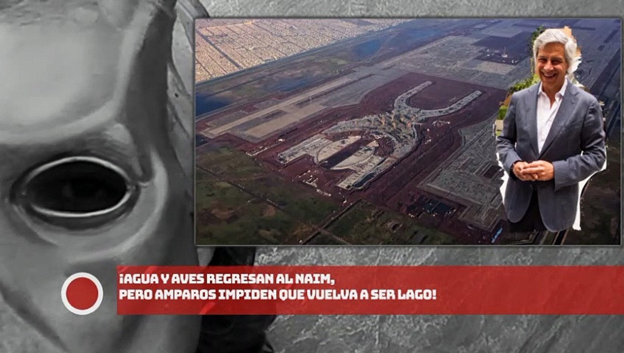 ¡AGUA Y AVES REGRESAN AL NAIM, PERO AMPAROS IMPIDEN QUE VUELVA A SER LAGO!