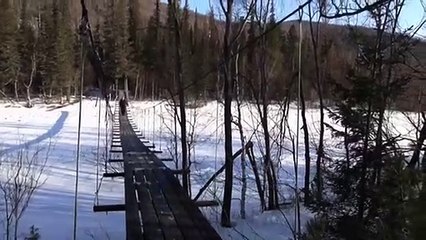 بوتين يمضي نهاية الأسبوع مع وزير الدفاع في التايغا السيبيرية